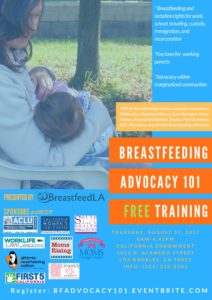 BreastfeedLA advocacy 101 training day poster